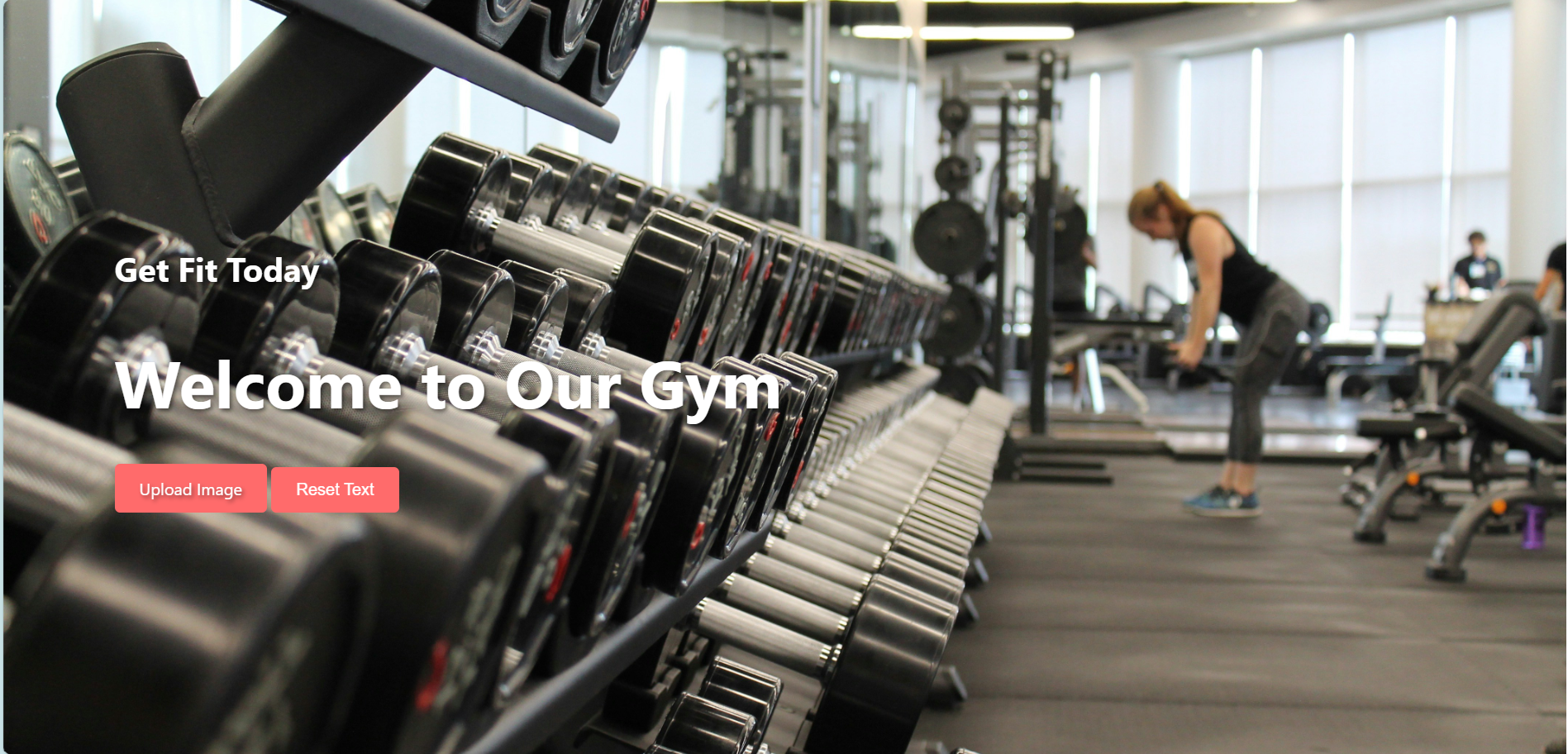 Gym Template